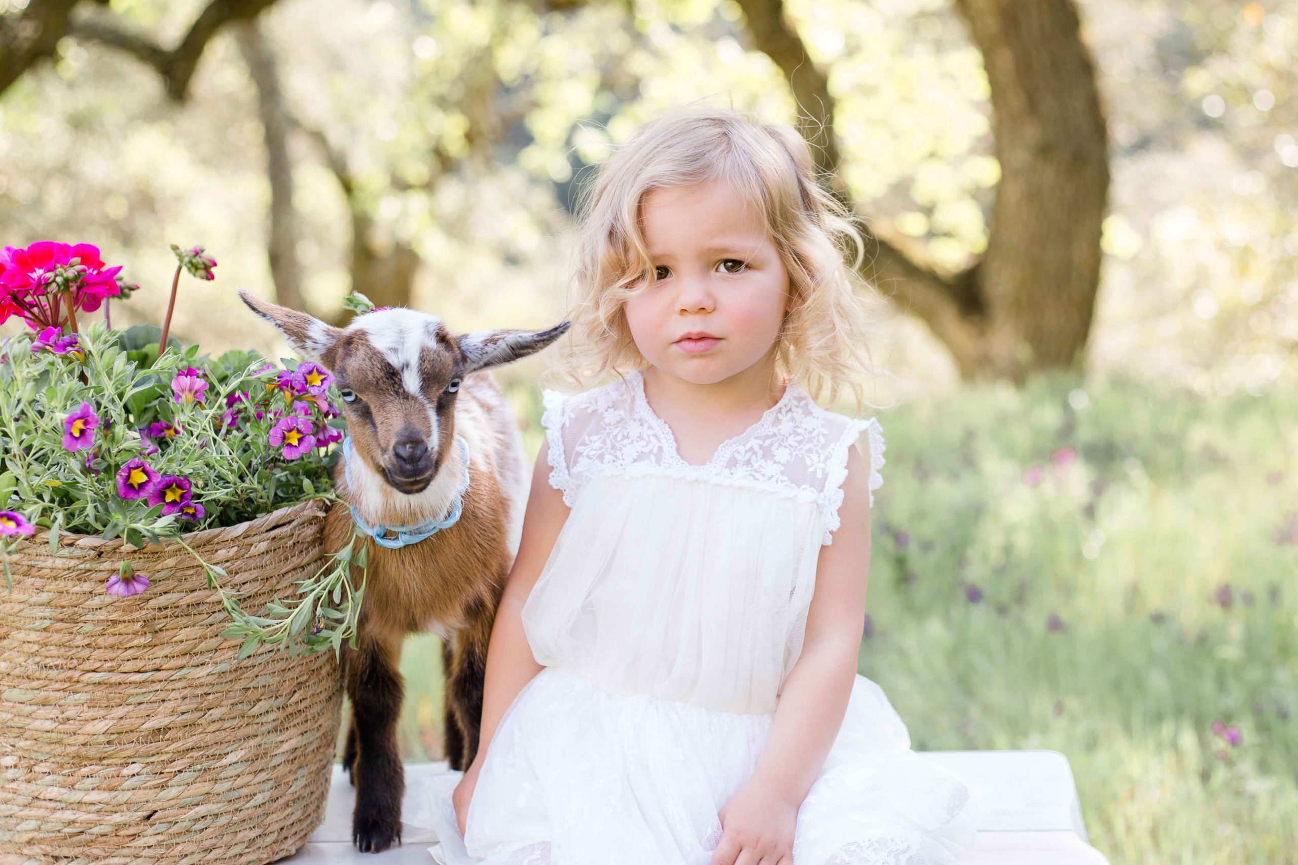 Photo of little girl with goat
