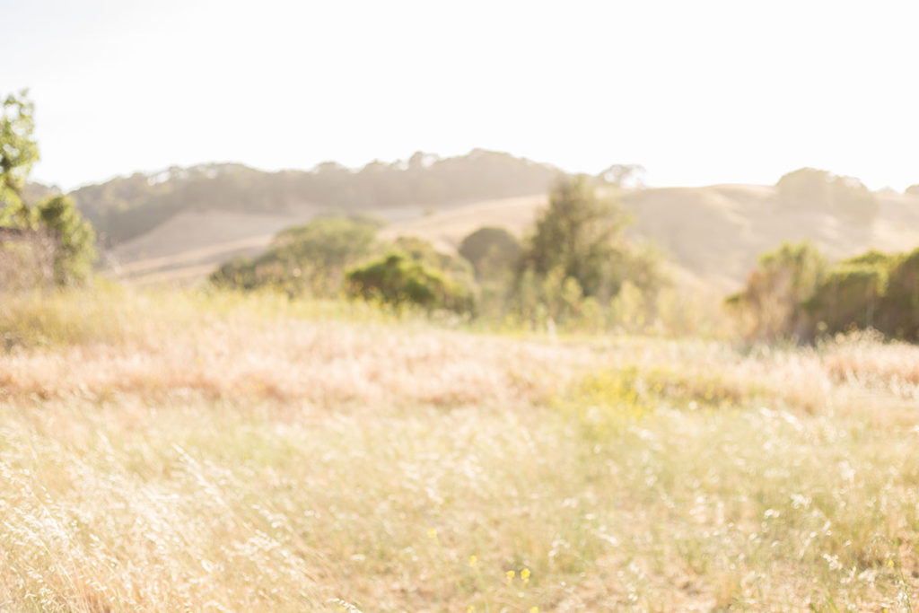 Fernandez Ranch in Martinez