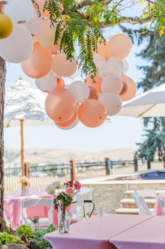 Baby Shower decorations