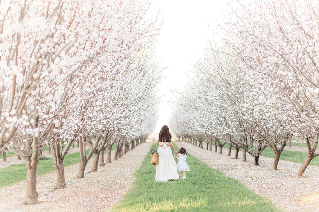 Mom and daughter walking through the almond blossoms in Northern California